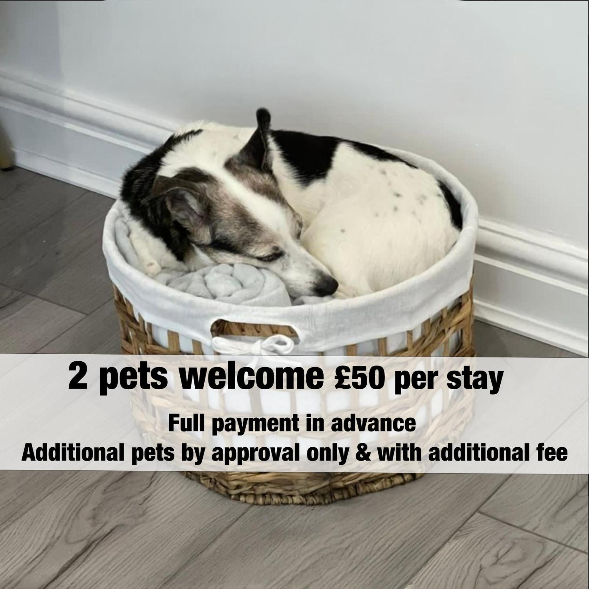 Emerald Delightful Suite Moseley Mews, Birmingham By Staystaycations エクステリア 写真